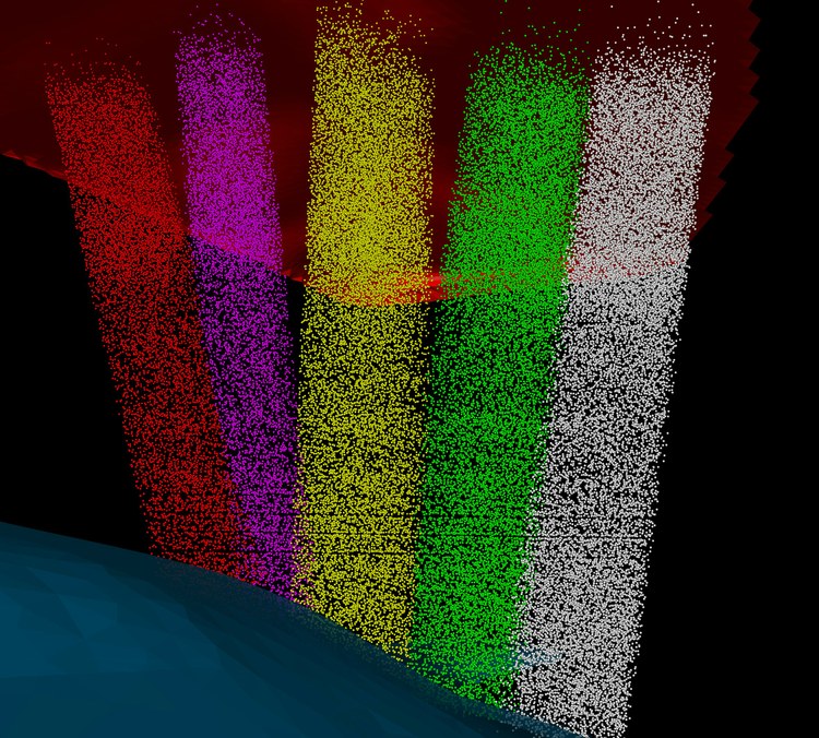 3D structure and cellular architecture of the thalamo cortical vibrissal system