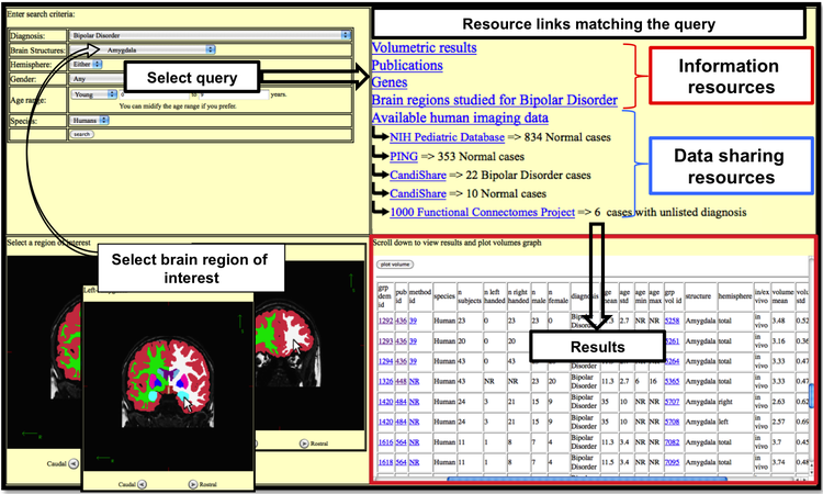 A Structure-Centered Portal for Child Psychiatry A Structure-Centered Portal for Child Psychiatry