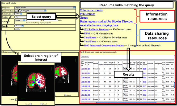 A Structure-Centered Portal for Child Psychiatry