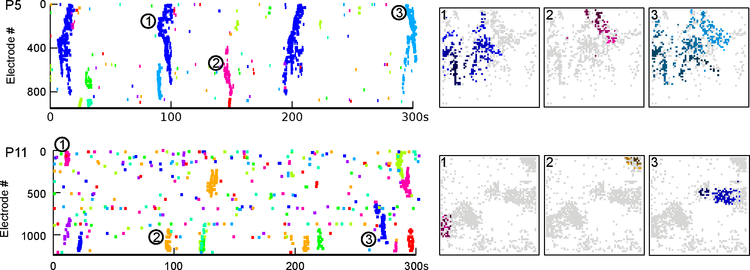 Tools for analysis of high-density multielectrode recordings in the neonatal mouse retina