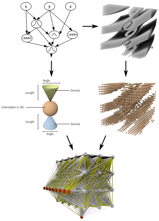 An indirect encoding scheme for artificial neural networks based on gene regulatory networks An indirect encoding scheme for artificial neural networks based on gene regulatory networks