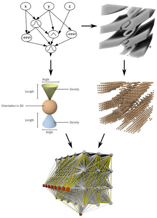 An indirect encoding scheme for artificial neural networks based on gene regulatory networks