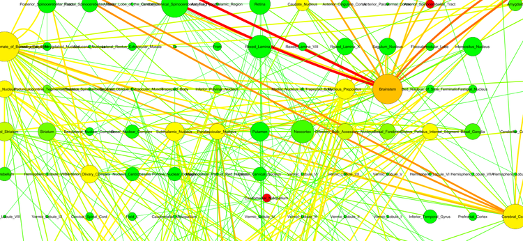 Exploring Mammalian Brain Connectivity using NeuroLex