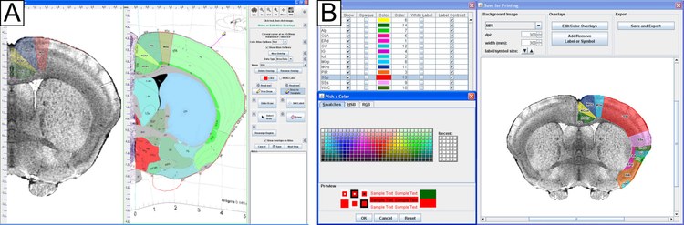 NeuroMaps: Map Data to the Waxholm Atlas for Presentation and Publication NeuroMaps: Map Data to the Waxholm Atlas for Presentation and Publication