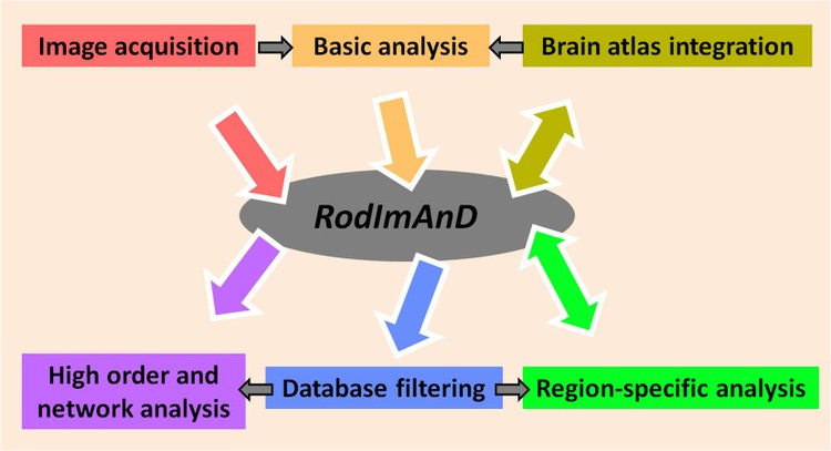 PCA-VisData - a new Evaluation and Visualization Tool Using the Database RodImAnD for Analysis of Rodents Brain Function in Drug Research