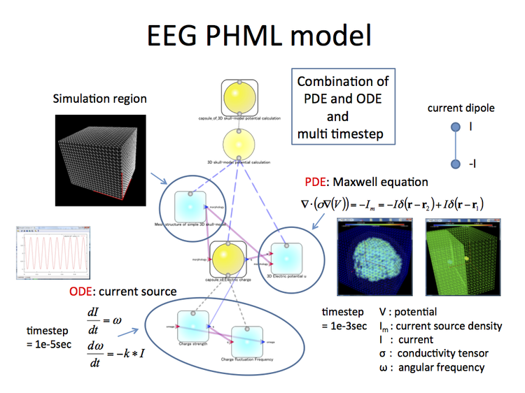 EEG Analysis in PhysioDesigner