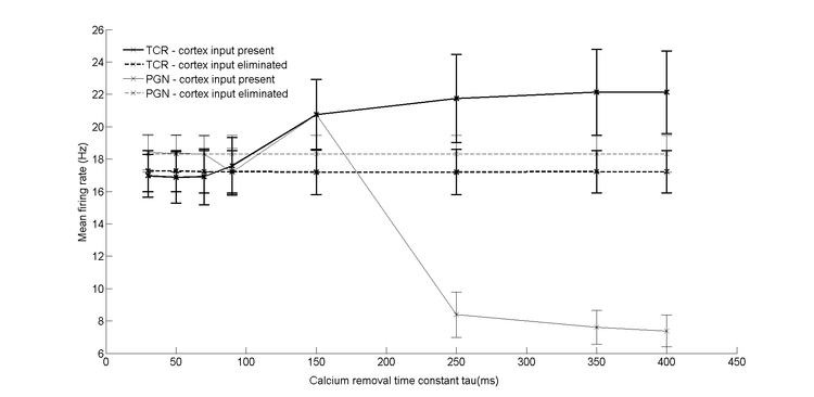 Reciprocal inhibition and slow calcium decay in perigeniculate interneurons explain changes of  spontaneous firing of thalamic cells caused by cortical inactivation.