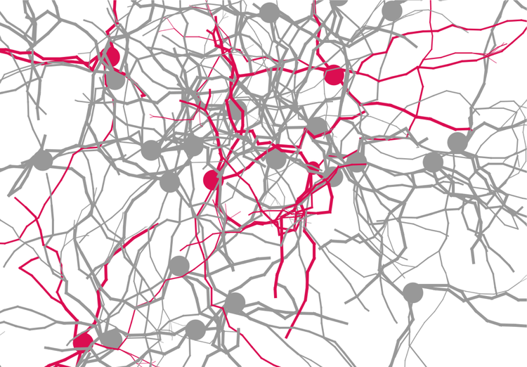 Simulating the Self-Organization of Winner-Take-All Networks