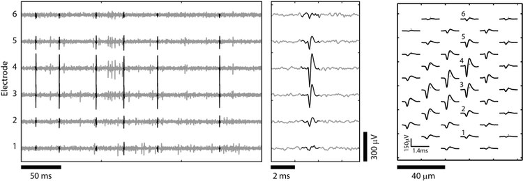 Simulator for Realistic High-Density Microelectrode Array Signals