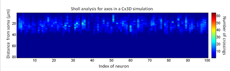 Towards new model of neuronal growth: Comparison of models and tools for neuronal growth in vitro